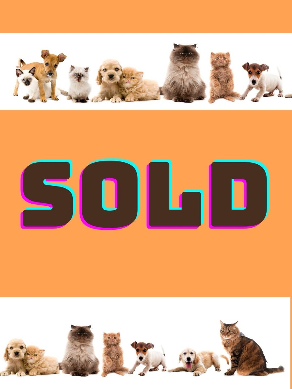 FRI. 5/22 CHOOSE ANY COLOR Share 3 Group (color filter only please) - Picture 1 of 6